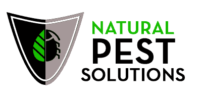 best pest control Company Jackson near me