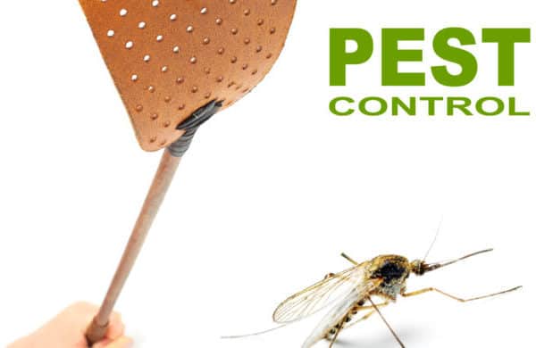 Ecological pest control.