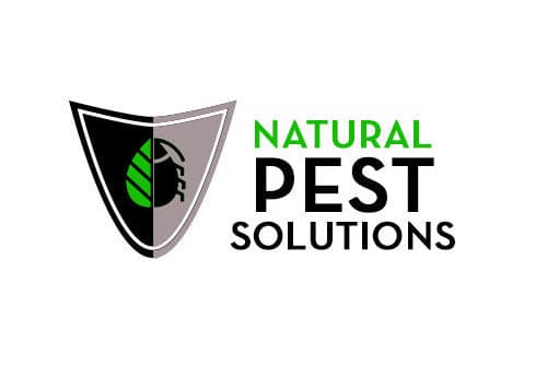 Pest Control companies near me