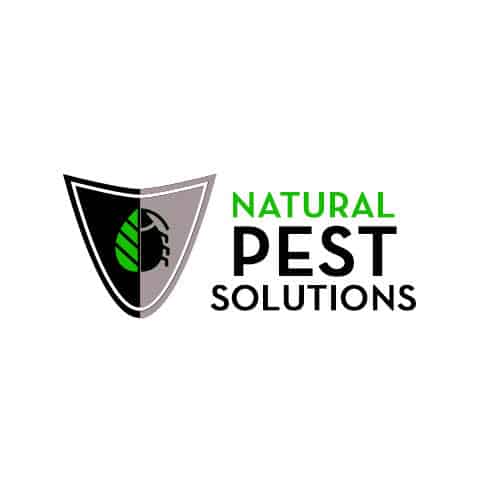 How to Get Rid of Pantry Moth Infestation Safely - Natural Pest Solutions  #1 Extermination Company