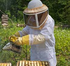 beekeeping