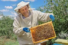 The Best Beekeeping Suits Ever
