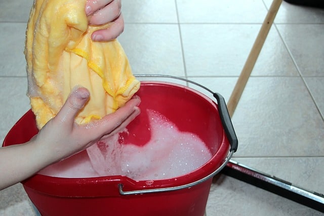 Routine cleaning helps prevent cockroach infestations