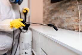 Modern pest control inspection techniques