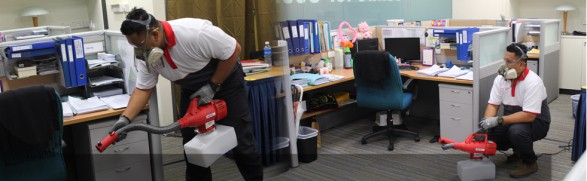 Pest control service for a corporate office