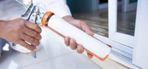 Winter pest-proofing checklist for your home