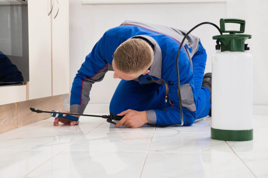 Pest control technician spraying baseboards during a home treatment